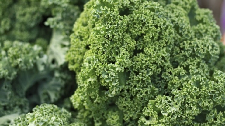kale-960x623