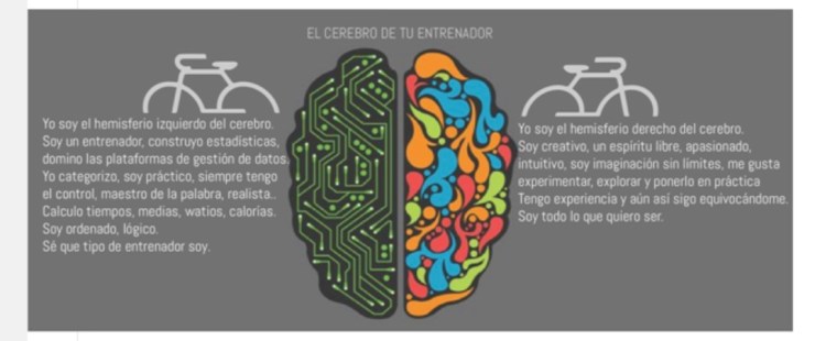 cerebro