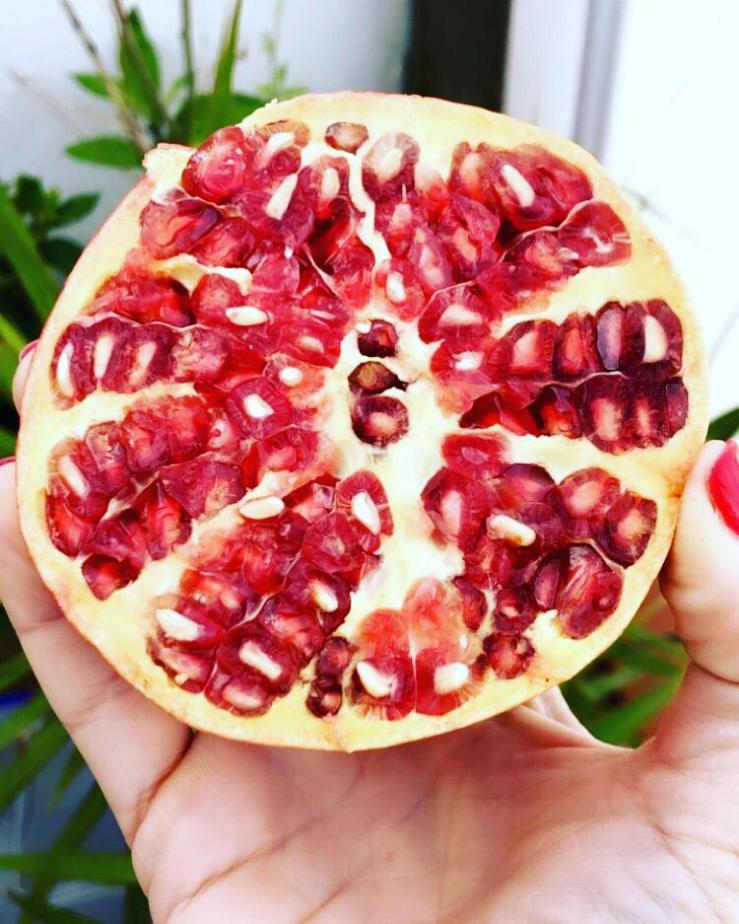 PHOTO-2018-11-21-17-43-55